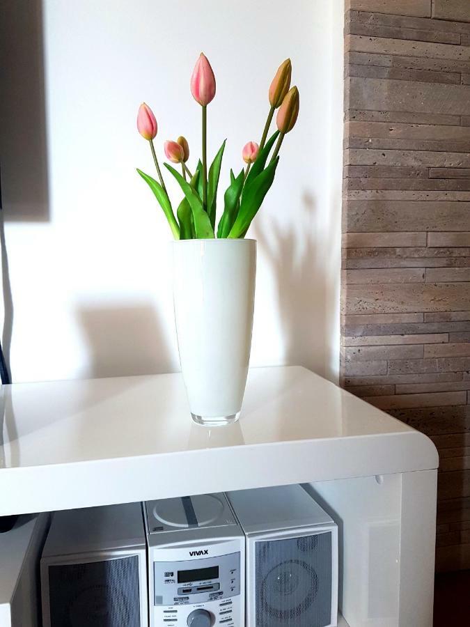 Apartment Rio بودْسْتغانا المظهر الخارجي الصورة